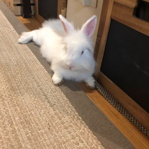 Meet your Posher, Katie